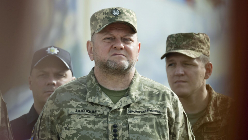 Рогов дал оценку словам Залужного о возврате к границам 1991 года