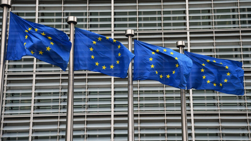 Коррупция говорит о слабости демократических институтов, заявили в ЕК
