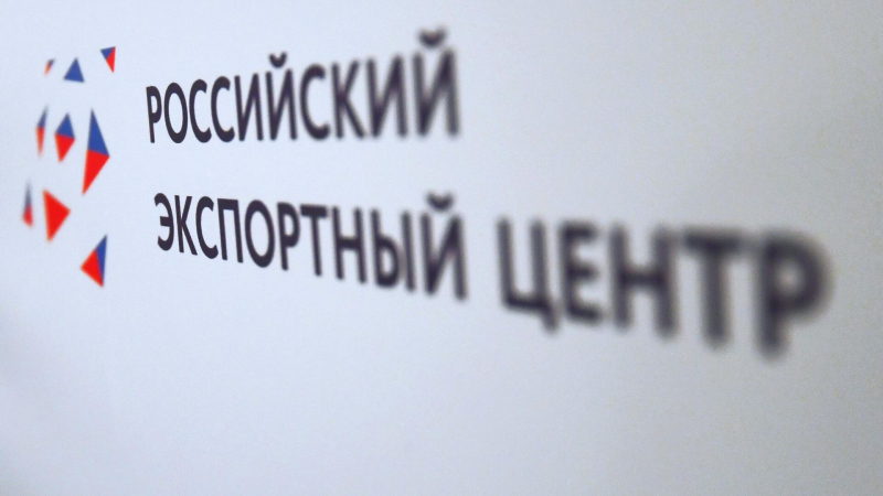 Сессия об особых экономических зонах ОАЭ и России пройдет в Москве